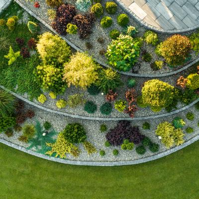 Gallery Aslm 003 Gallery Aslm 003